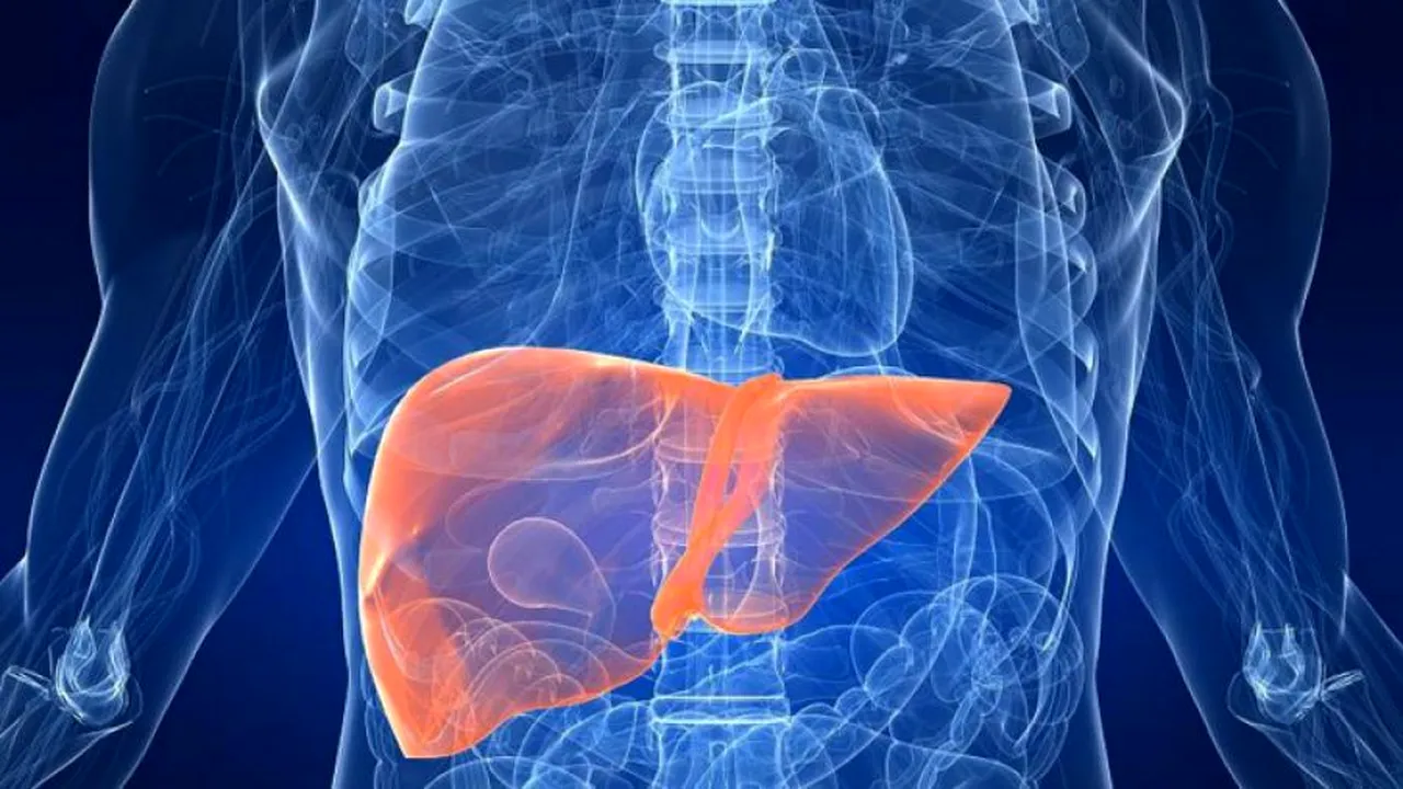 Terapia care ar putea ajuta la prevenirea cancerului hepatic provocat de alimente