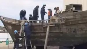 FENOMEN inexplicabil: Zeci de 