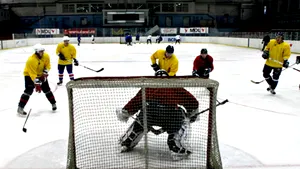 Alte două demisii la Federaţia de Hochei