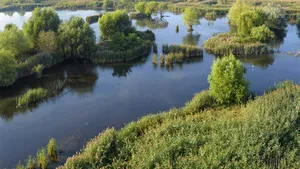 MEDIAFAX ZOOM: Delta Bucureştiului - GALERIE FOTO