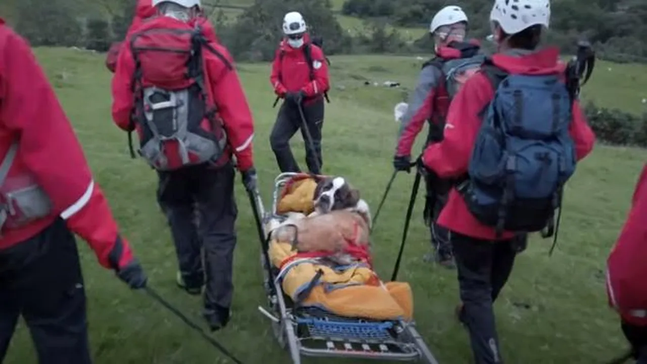 Operaţiune de salvare pentru un Saint Bernard. Câinele se prăbuşise pe cel mai înalt munte din Anglia