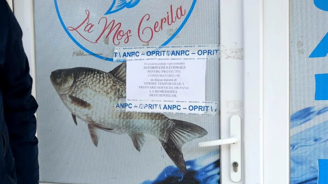 Controale ANPC: Vitrine murdare, gândaci și pește expirat, descoperite în magazinele de profil
