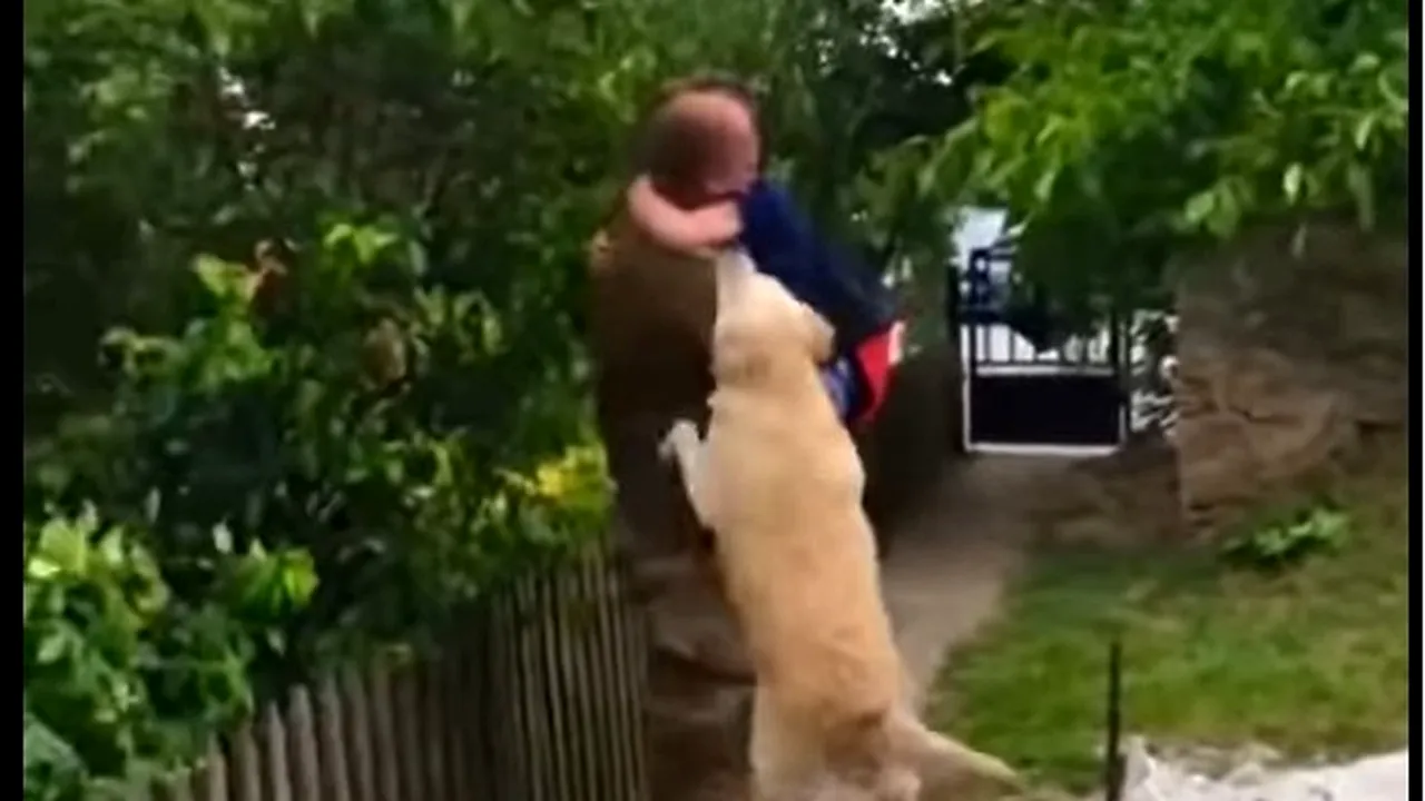 Despărţiţi de războiul lui Putin. Reunire emoţionantă dintre un tată, un copil şi câinele familiei VIDEO
