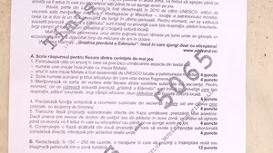 EVALUAREA NAŢIONALĂ 2016. Ministerul Educaţiei a făcut public baremul la proba de Limba şi Literatura Română - FOTO
