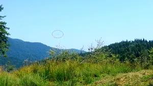 PLANORUL DISPĂRUT - Arafat: Costurile unei căutări de acest gen se ridică la sute de mii de euro - FOTO