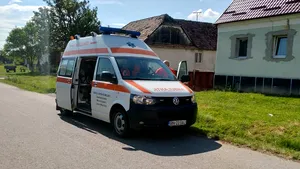 Şase fraţi şi mama lor au fost răniţi, după ce s-a răsturnat căruţa în care se aflau | FOTO