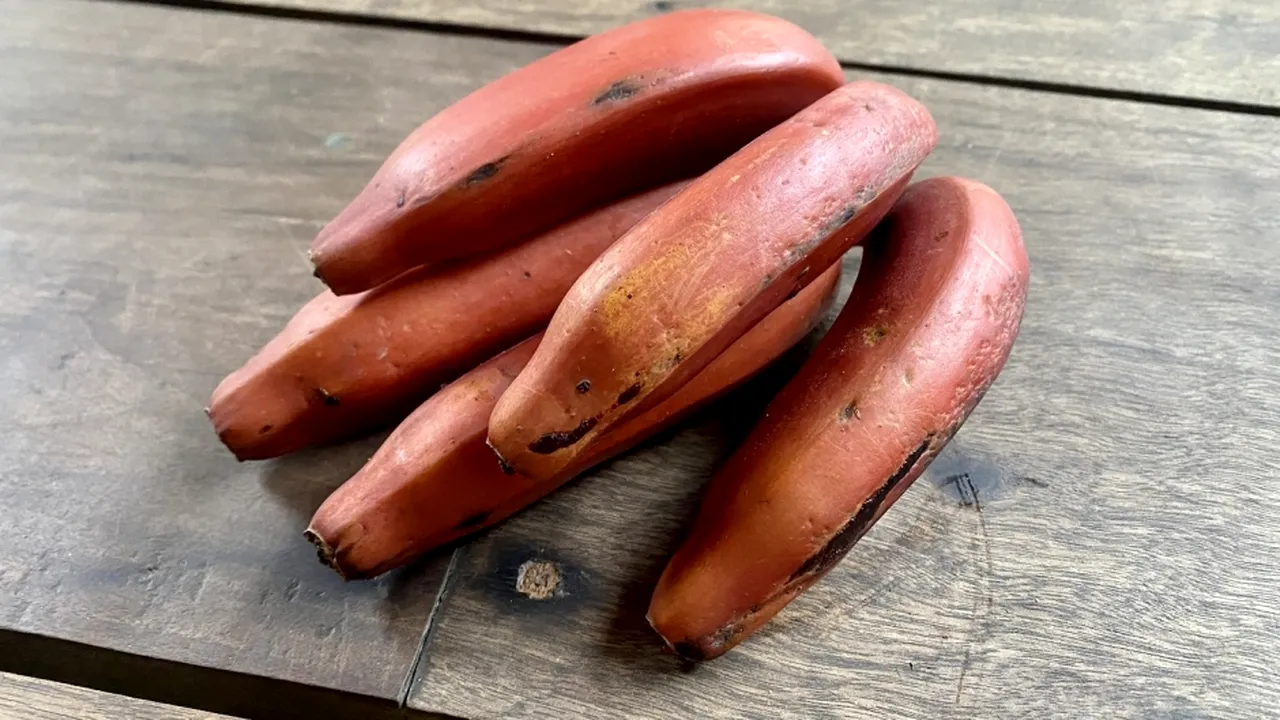 Pentru ce sunt căutate bananele roşii: conţin mai multă pulpă şi au un gust mai dulce decât bananele galbene

