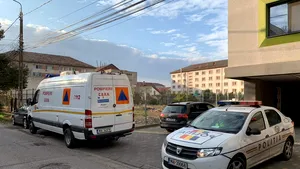 Patronul firmei de deratizare din Timişoara a cumpărat produsele folosite de pe piaţa neagră. Ce a povestit avocatul său 