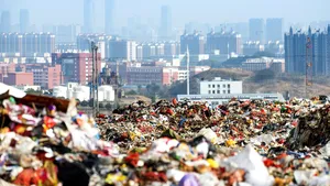 Acţiune de amploare. Sute de amenzi usturătoare date persoanelor prinse în Timişoara că au aruncat gunoi unde nu trebuia