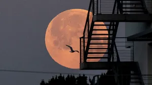 FOTO. Cum s-a văzut Luna Roz în diverse colţuri ale lumii