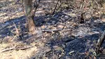 Incendiul subteran care nu se stinge. Autoritățile din Arad pregătesc o soluție neobișnuită