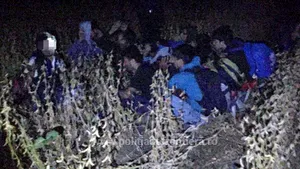 Timiş: Cinci migranţi opriţi în timp ce încercau să intre ilegal în România din Serbia
