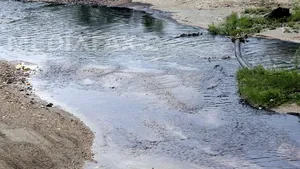 Bistriţa: Râul Someşul Mare, poluat pe o distanţă de circa zece kilometri cu noroi de mină