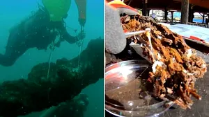 Bacterii de acum 60.000 de ani ar putea schimba radical medicina. O descoperire recentă a oamenilor de ştiinţă oferă speranţa unor noi tratamente