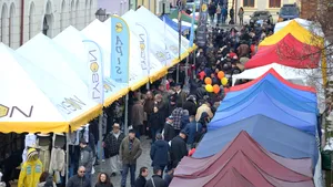 Cel mai mare târg apicol din România: La Sărbătoarea Mierii” de la Blaj s-au strâns mii de oameni | GALERIE FOTO