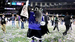 Super Bowl 2013 nu a fost atât de urmărit ca în trecut. Cu cât a scăzut comparativ cu anii precedenţi