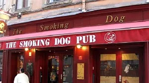 Trei fani ai lui Tottenham Hotspur, la spital după ce au fost atacaţi într-un bar din Lyon. Unul dintre ei susţine că a fost un atac antisemit