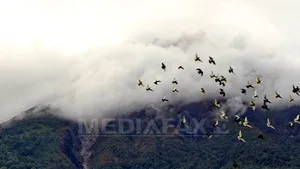 Vulcanul Sinabung a erupt din nou