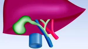 Primele semne ale unui ficat cu probleme