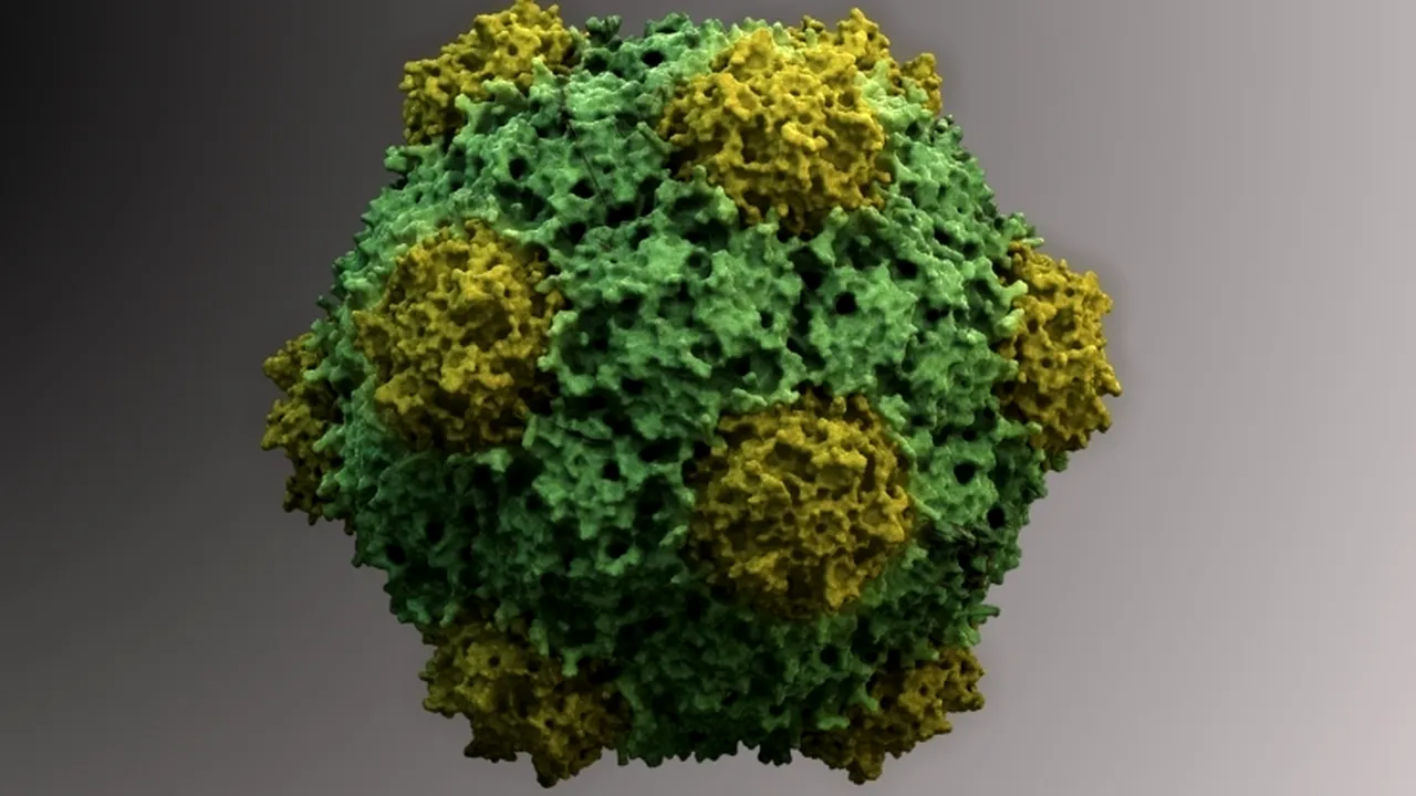 Un virus de plante demonstrează eficacitate în combaterea cancerelor metastatice la şoareci