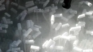 Spermă umană produsă în laborator din celule suşă