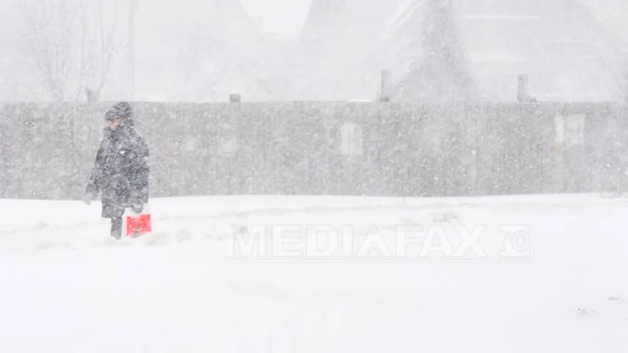 INFORMARE METEO: Ninsori şi vânt puternic în mai multe zone din ţară