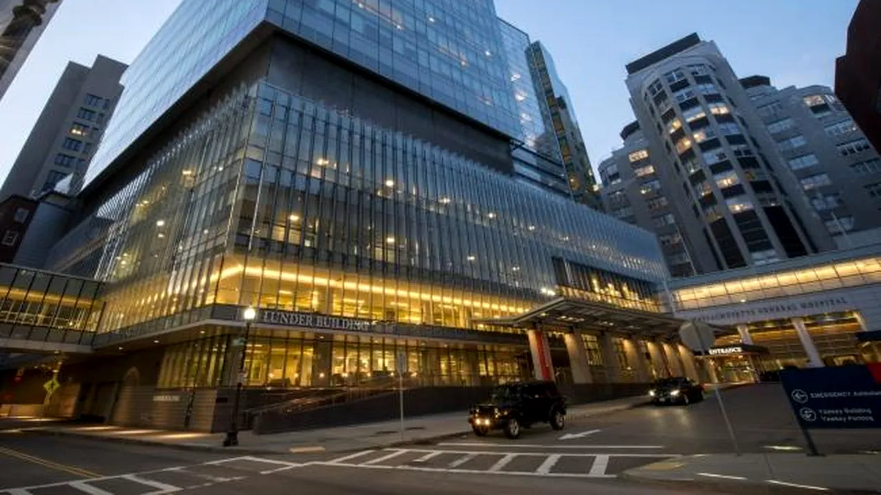Record medical: Un rinichi de porc transplantat unui american a funcționat aproape nouă luni