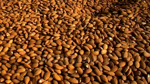 Migdalele îmbunătăţesc digestia, accelerând tranzitul intestinal