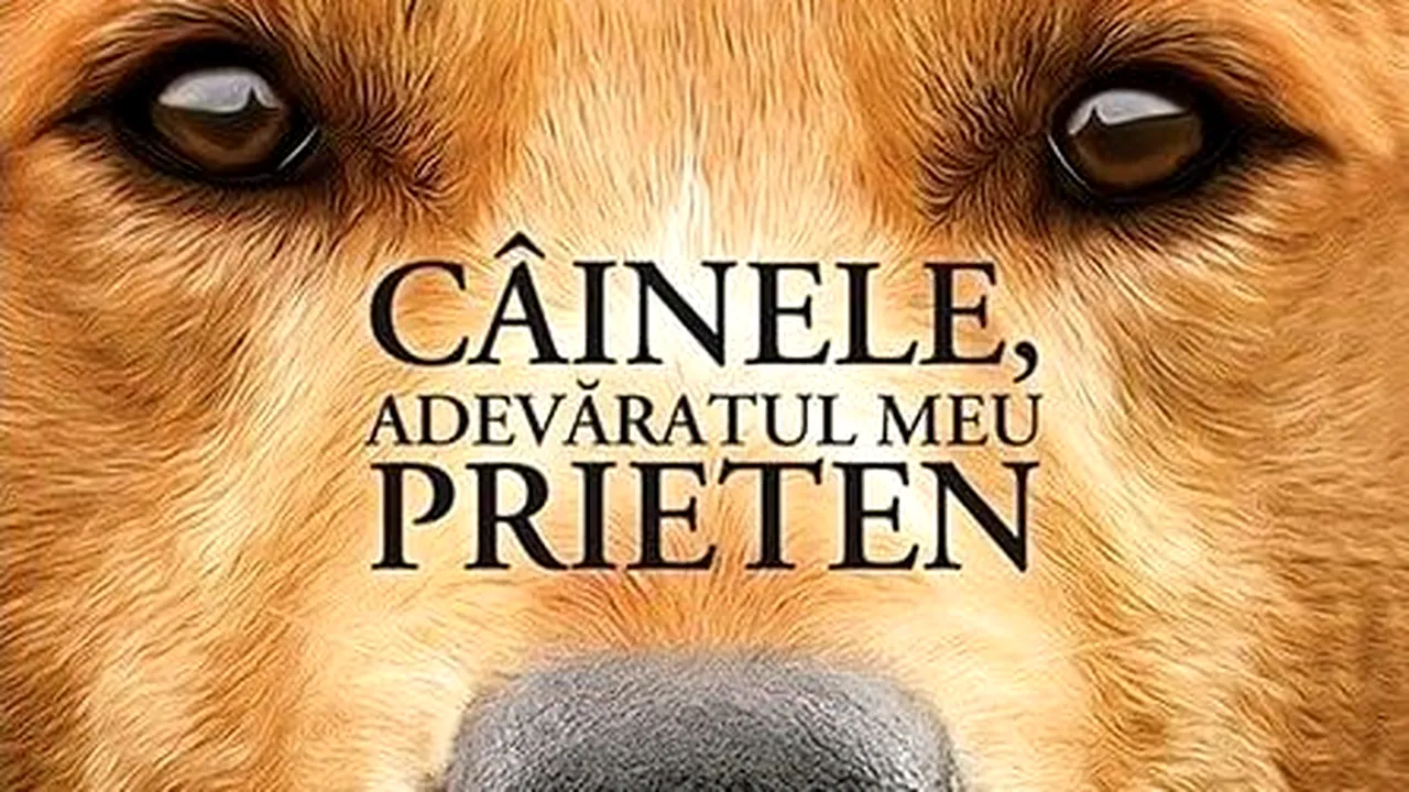 O carte pe zi: „Câinele, adevăratul meu prieten”, de W. Bruce Cameron