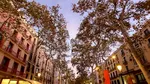 În acest weekend în Barcelona, cumperi o floare pe Rambla și primești o plimbare gratuită cu barca