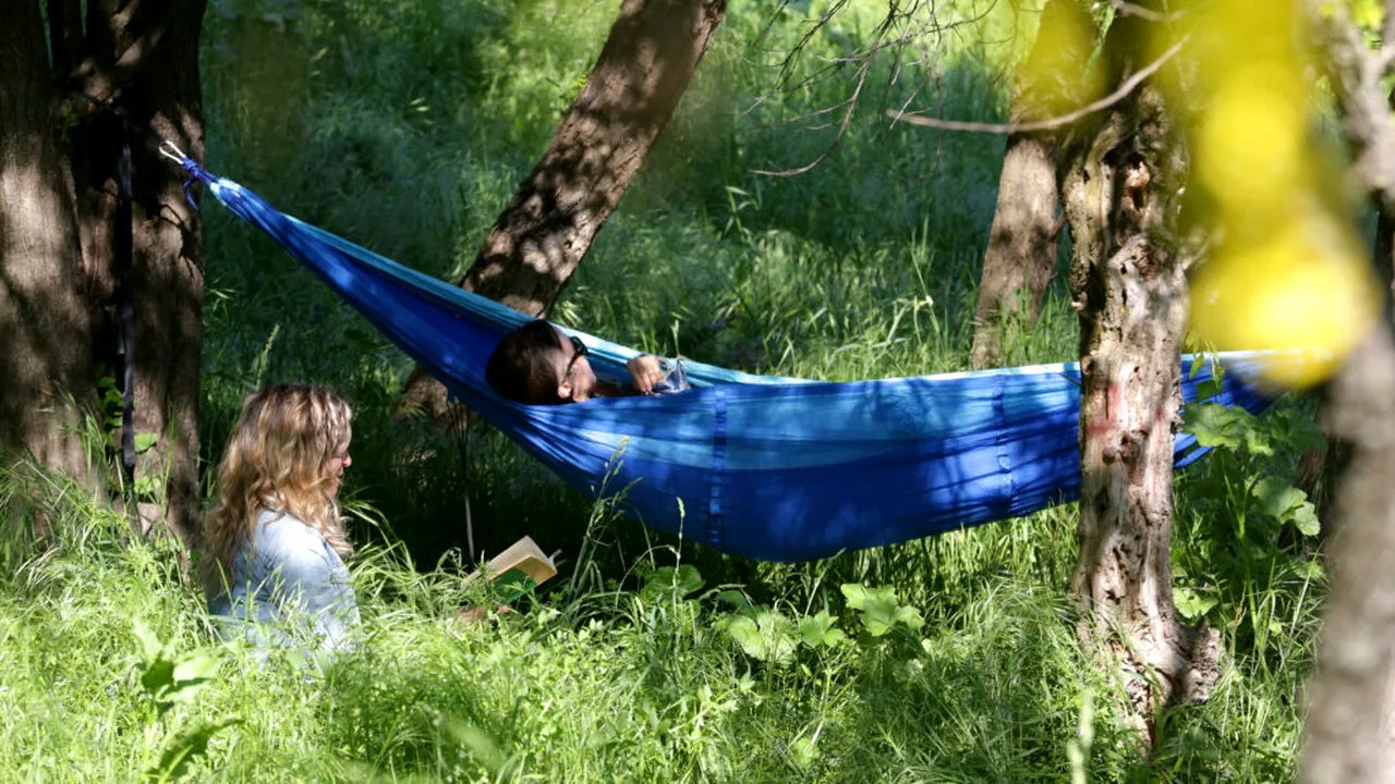 Școala care aduce bani / Cum poți câștiga, ca elev, mii de euro la un concurs despre natură