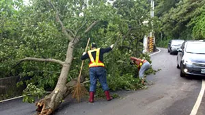 Taifunul Wipha ameninţă capitala Taiwanului