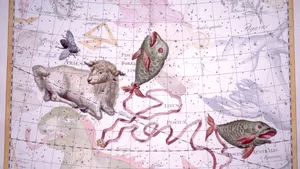 HOROSCOP 14 noiembrie. Noi începuturi la final de săptămână pentru trei zodii. Energia lor este la cote ridicate