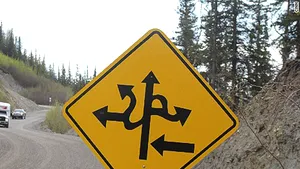 ATENŢIE la insecte uriaşe şi avioane: DRUMUL cu cele mai neobişnuite semne de circulaţie - FOTO