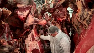 Bruxelles-ul asigură că scandalul cărnii de cal nu reprezintă o criză sanitară