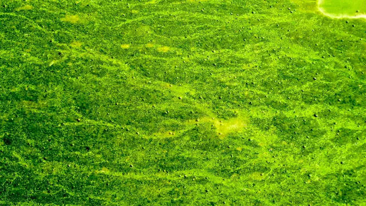 Oamenii de ştiinţă descoperă o sursă de energie cu emisii negative de carbon