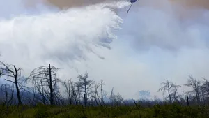 Grecia: Incendiu de vegetație de amploare lângă Atena. S-a dispus evacuarea orașului Marathon