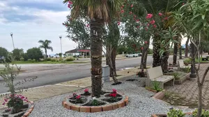 Bine faci, bine găseşti. Un român care trăieşte în Italia şi-a găsit de lucru după ce a impresionat o întreagă comunitate 