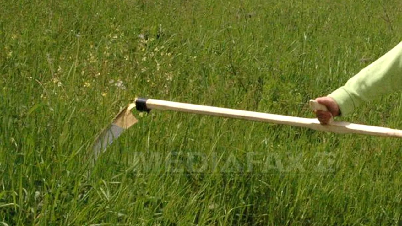 Ghinion teribil pentru un vasluian: a căzut din căruţă într-o coasă care i-a străpuns abdomenul