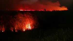 Incendiu PUTERNIC în Delta Dunării. 10 hectare de vegetaţie uscată au fost cuprinse de flăcări/ Intervenţia pompierilor, îngreunată de întuneric şi terenul mlăştinos | FOTO