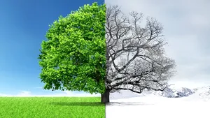 ANM: Vreme deosebit de rece pentru această perioadă din martie. Se va depune strat de zăpadă şi în Bucureşti. Când se va încălzi