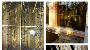 Urme de gloanţe în geamurile casei unui cunoscut INTERLOP din Arad. Poliţia face cercetări