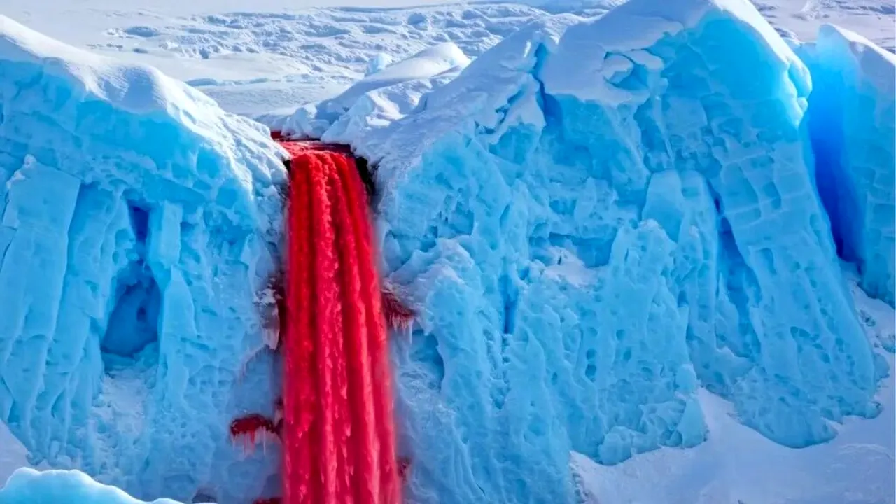 O lume care nu a văzut niciodată lumina Soarelui, ascunsă în Cascadele de Sânge din Antarctica
