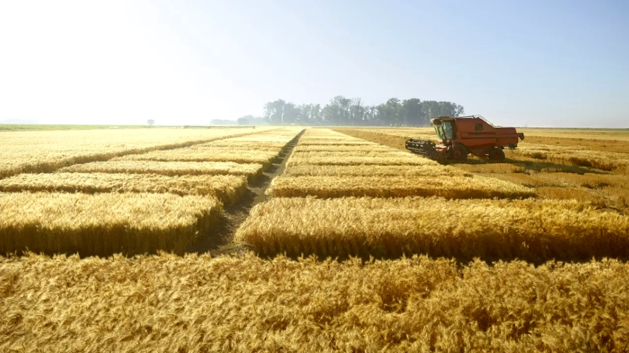 Inovația ajută fermierii români să își asigure productivitatea și leadershipul în domeniul cerealelor la nivel european