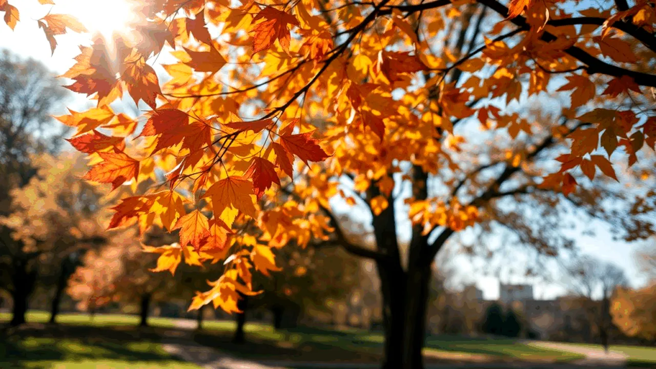 Prognoză meteo pe patru săptămâni: Temperaturi peste normal și ploi puține la început de toamnă