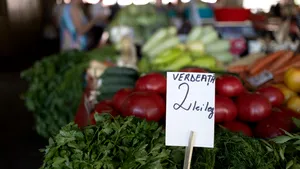 Exportăm grâu, importăm porc şi cartofi: paradoxul care costă România miliarde