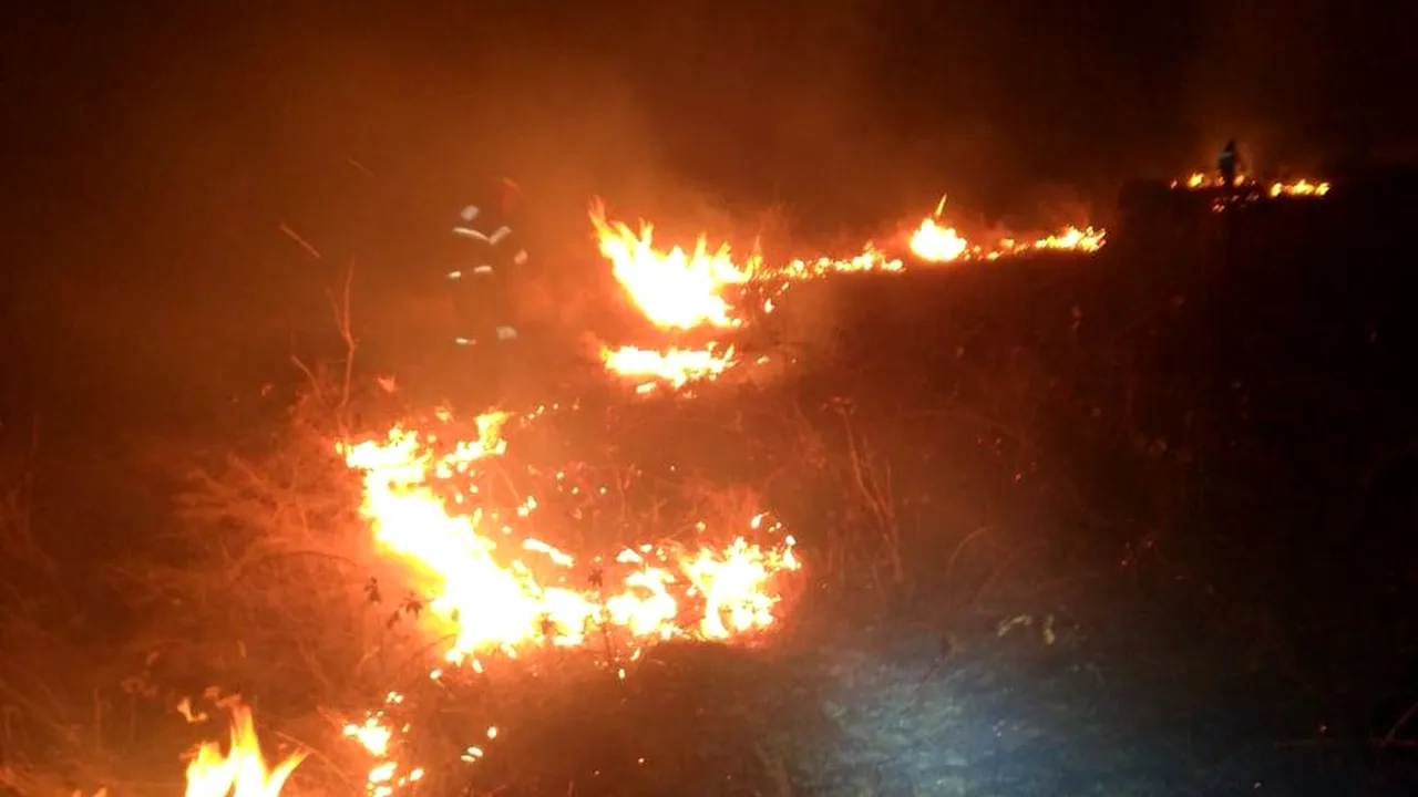 Incendiu uriaş în Timiş. Flăcările s-au extins pe aproximativ 100 de hectare
