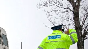 Un microbuz plin cu călători a intrat într-un copac de pe marginea drumului