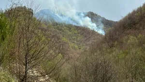 Incendiul de pădure din Argeş s-a extins pe aproape 24 de hectare