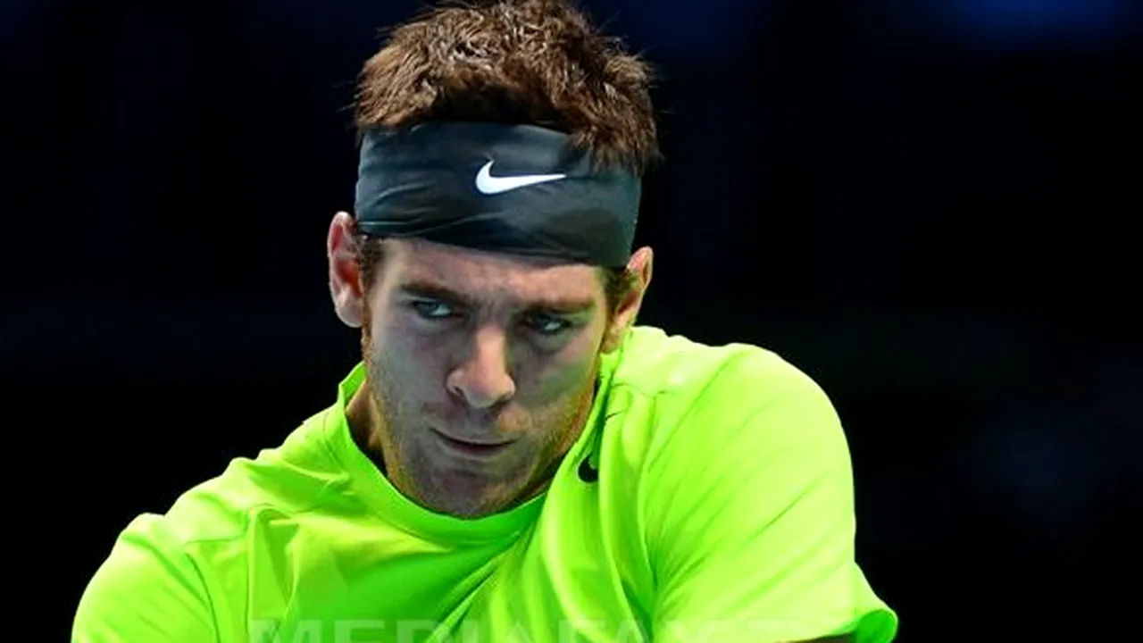 Juan Martin Del Potro s-a calificat în semifinalele Turneului Campionilor